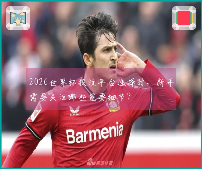 2026世界杯投注平台选择时，新手需要关注哪些重要细节？