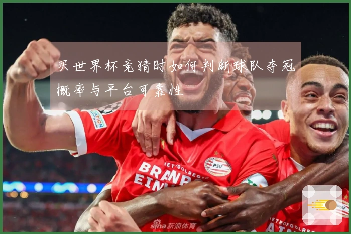 买世界杯竞猜时如何判断球队夺冠概率与平台可靠性