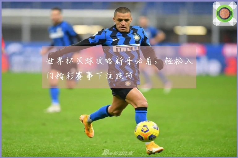 世界杯买球攻略新手必看，轻松入门精彩赛事下注技巧