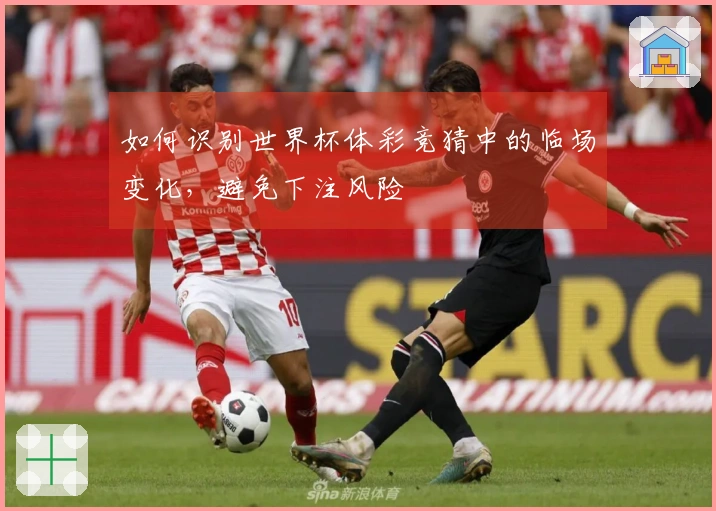 如何识别世界杯体彩竞猜中的临场变化，避免下注风险