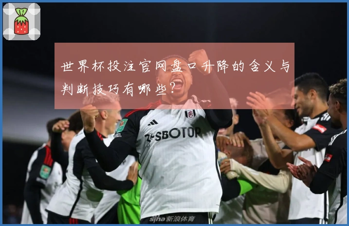 世界杯投注官网盘口升降的含义与判断技巧有哪些？