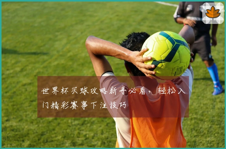 世界杯买球攻略新手必看，轻松入门精彩赛事下注技巧